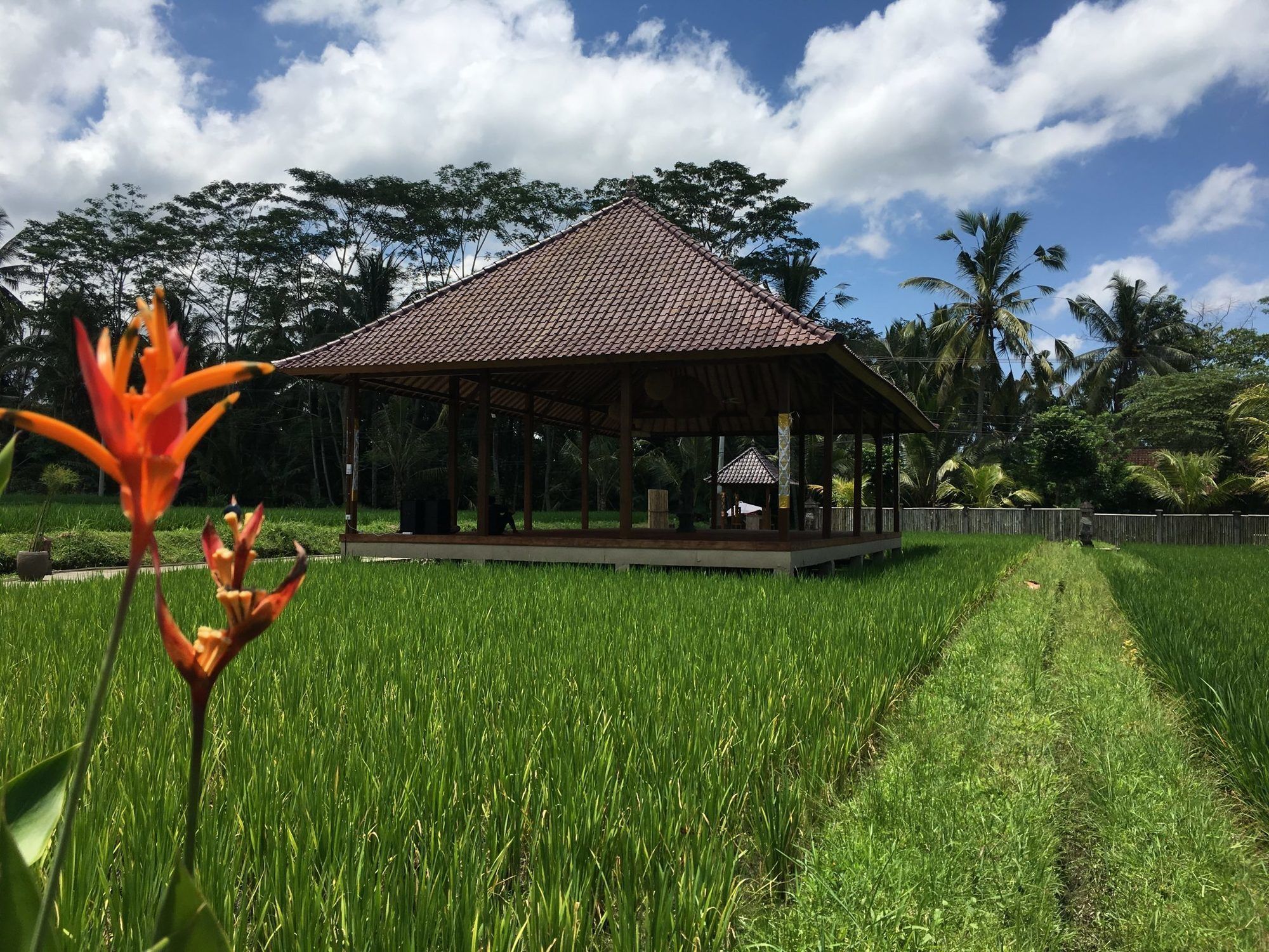 Santosha Villas & Spa Ubud Exterior foto